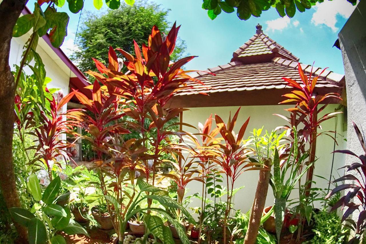 Ayu Hotel Karimunjawa Dış mekan fotoğraf
