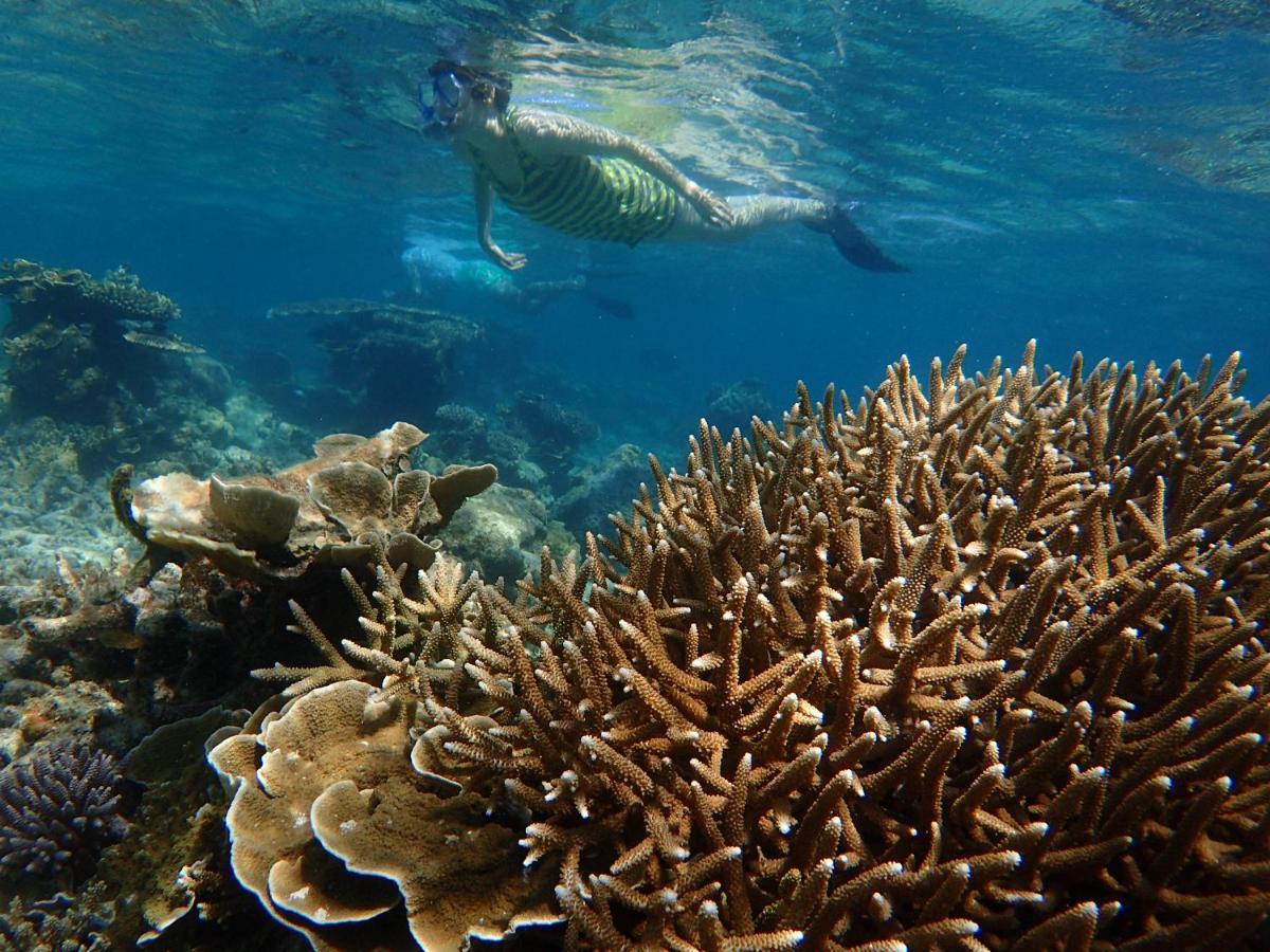 Ayu Hotel Karimunjawa Dış mekan fotoğraf