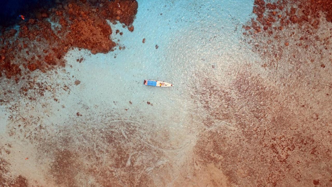 Ayu Hotel Karimunjawa Dış mekan fotoğraf